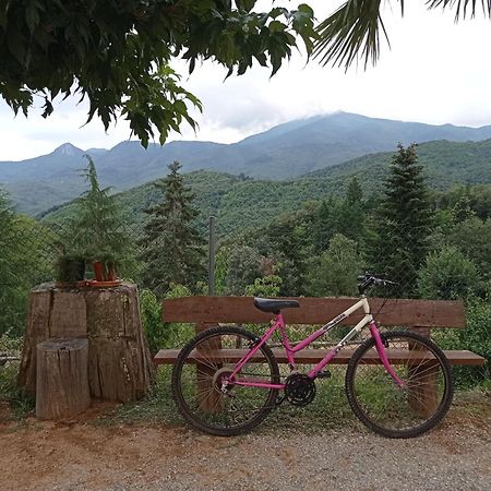 Alojamiento con jardín, barbacoa, piscina en pleno Montseny Arbúcies Exterior foto