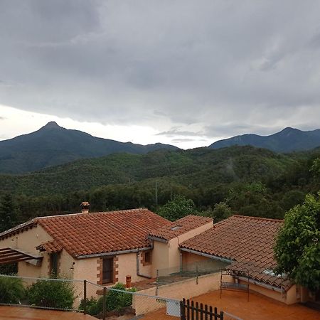 Alojamiento con jardín, barbacoa, piscina en pleno Montseny Arbúcies Exterior foto