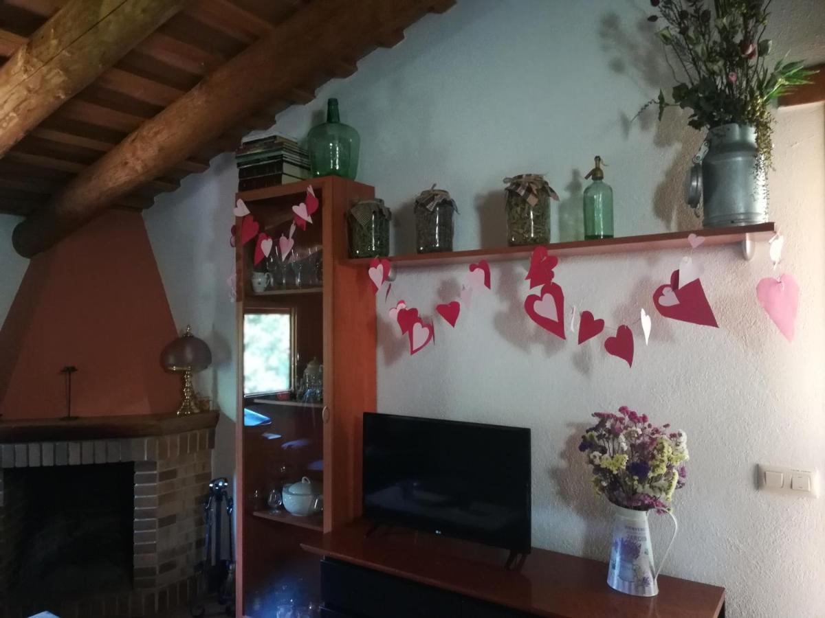 Alojamiento con jardín, barbacoa, piscina en pleno Montseny Arbúcies Exterior foto