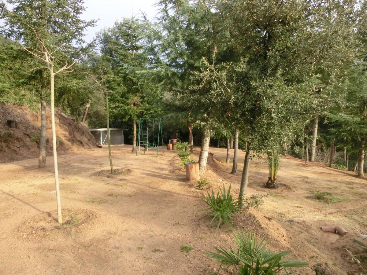 Alojamiento con jardín, barbacoa, piscina en pleno Montseny Arbúcies Exterior foto