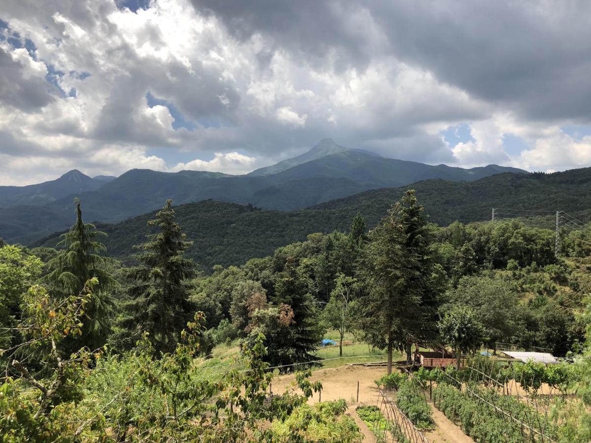 Alojamiento con jardín, barbacoa, piscina en pleno Montseny Arbúcies Exterior foto