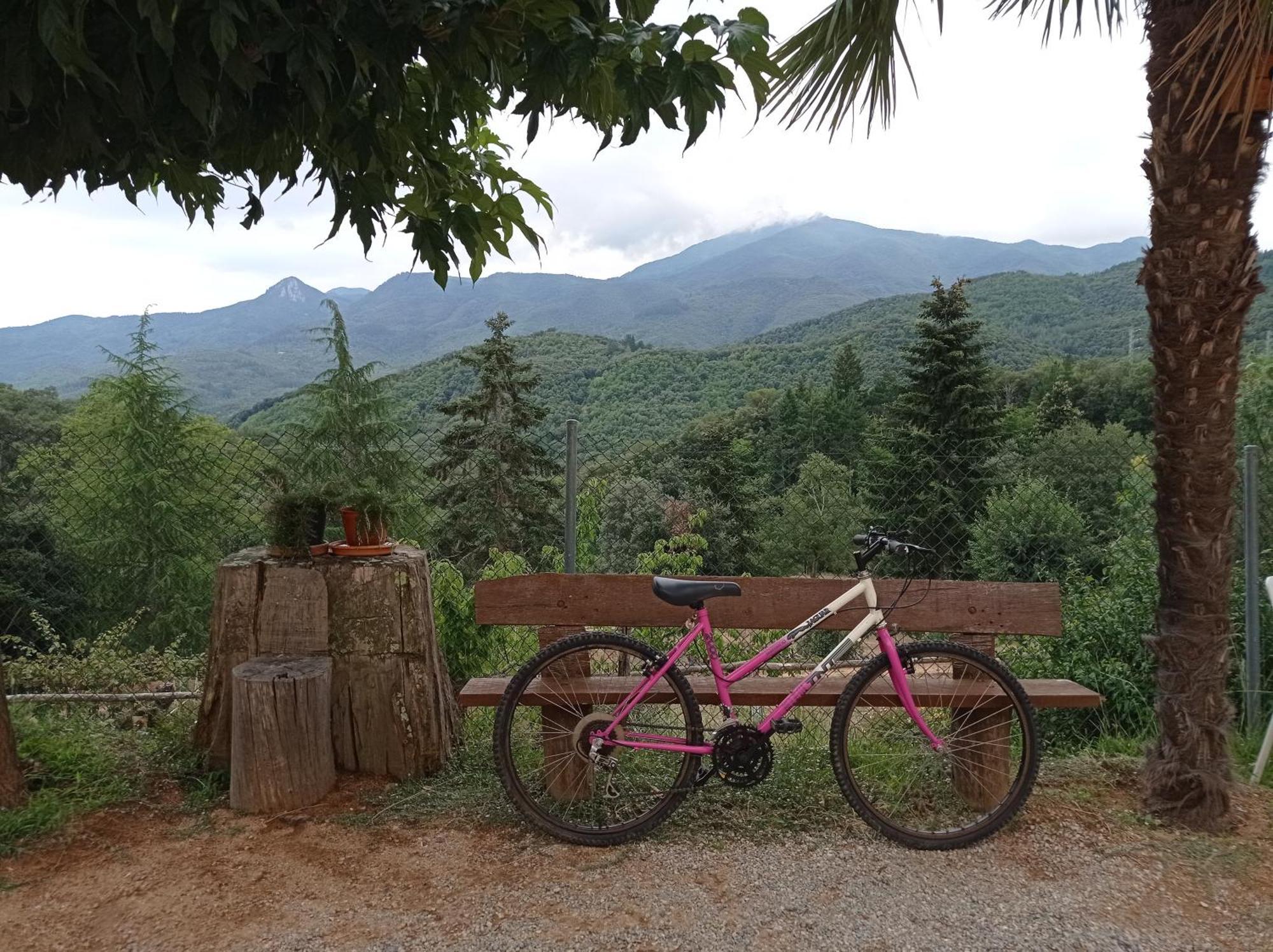 Alojamiento con jardín, barbacoa, piscina en pleno Montseny Arbúcies Exterior foto