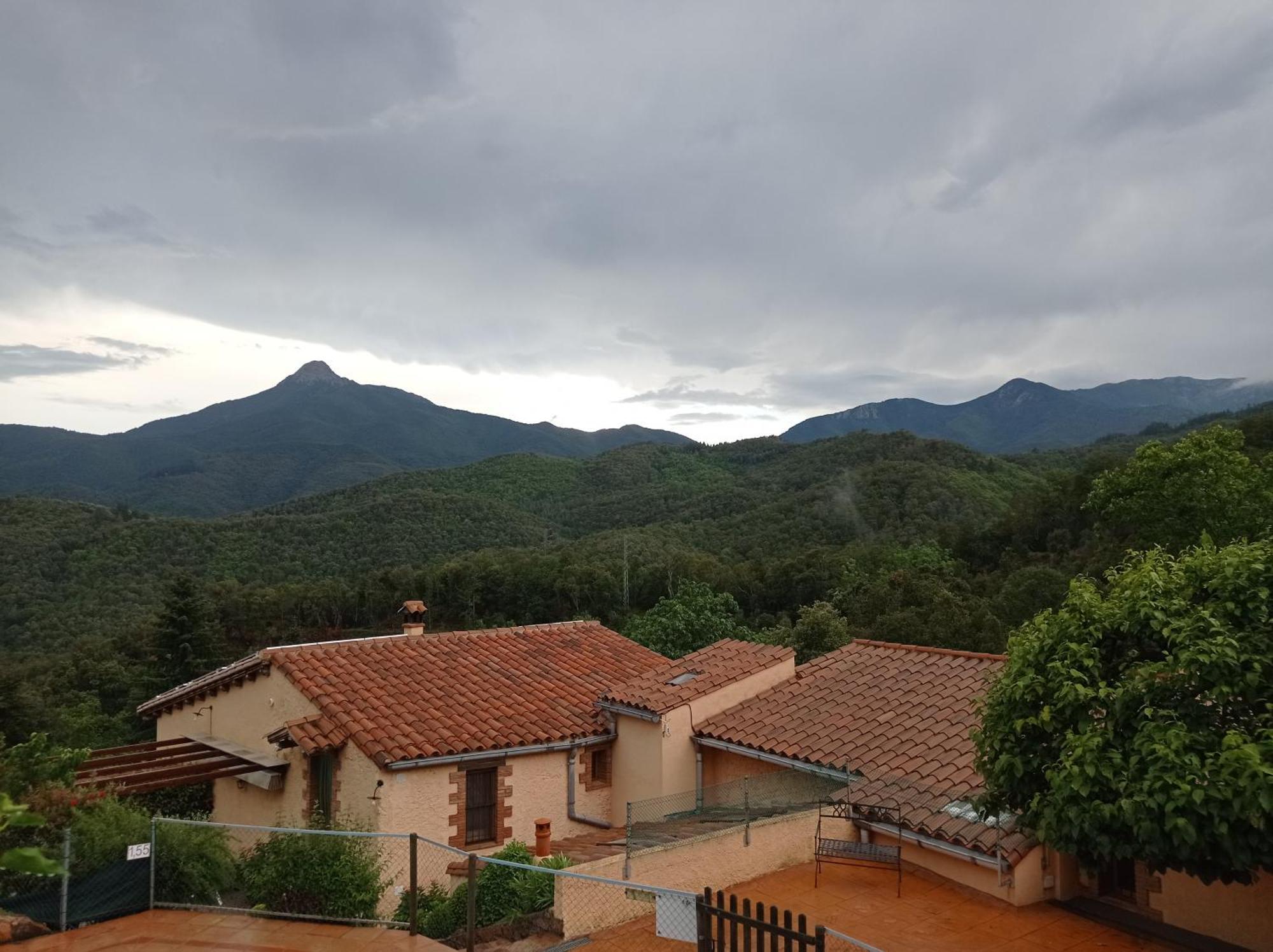 Alojamiento con jardín, barbacoa, piscina en pleno Montseny Arbúcies Exterior foto