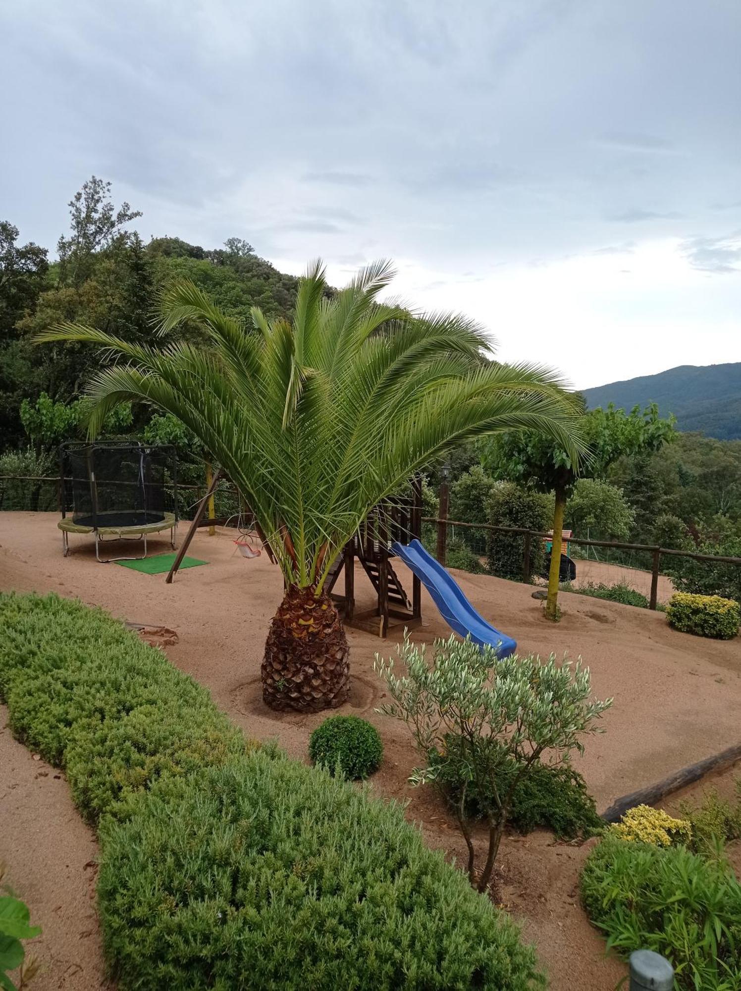 Alojamiento con jardín, barbacoa, piscina en pleno Montseny Arbúcies Exterior foto