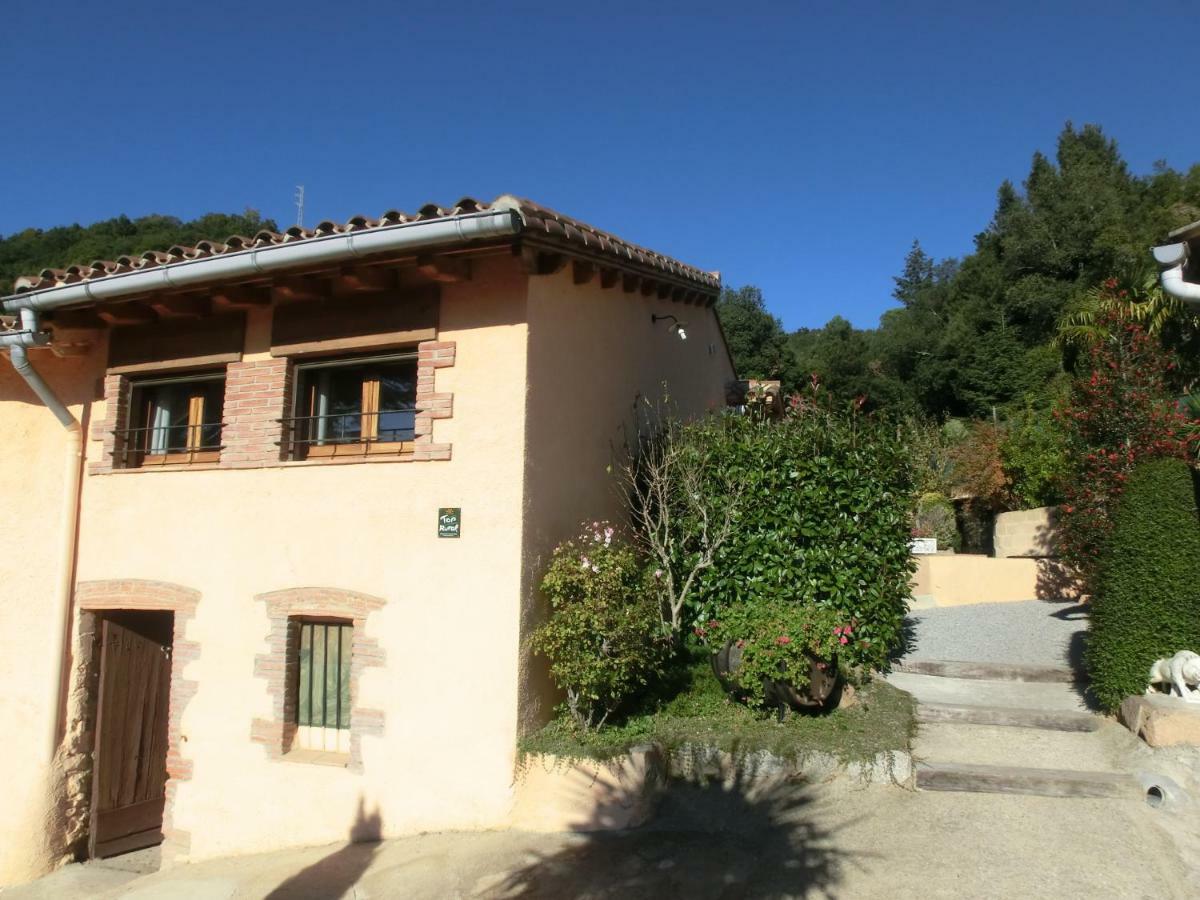 Alojamiento con jardín, barbacoa, piscina en pleno Montseny Arbúcies Exterior foto