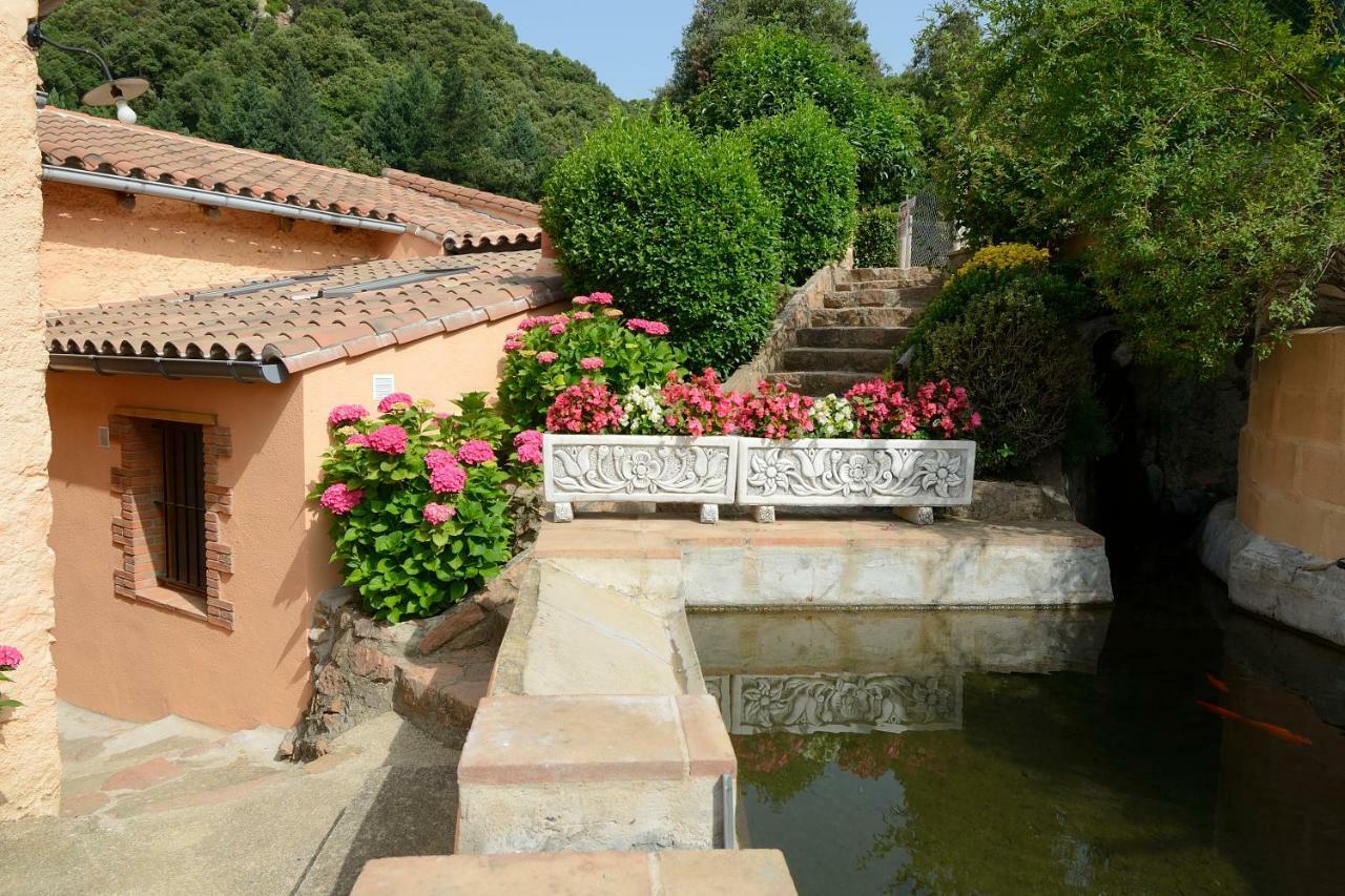 Alojamiento con jardín, barbacoa, piscina en pleno Montseny Arbúcies Exterior foto