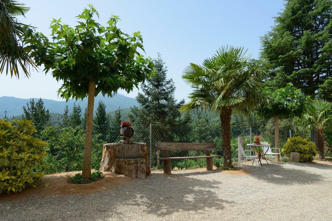 Alojamiento con jardín, barbacoa, piscina en pleno Montseny Arbúcies Exterior foto