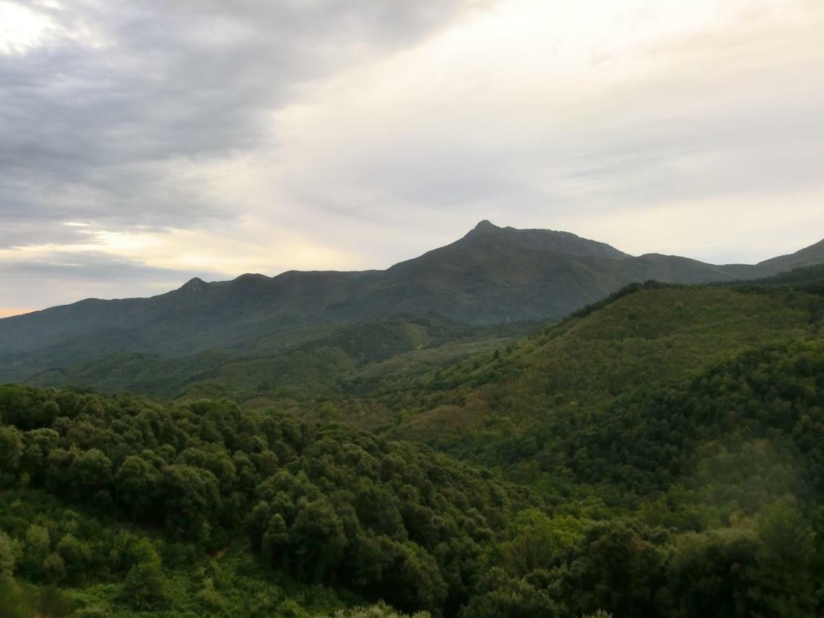 Alojamiento con jardín, barbacoa, piscina en pleno Montseny Arbúcies Exterior foto