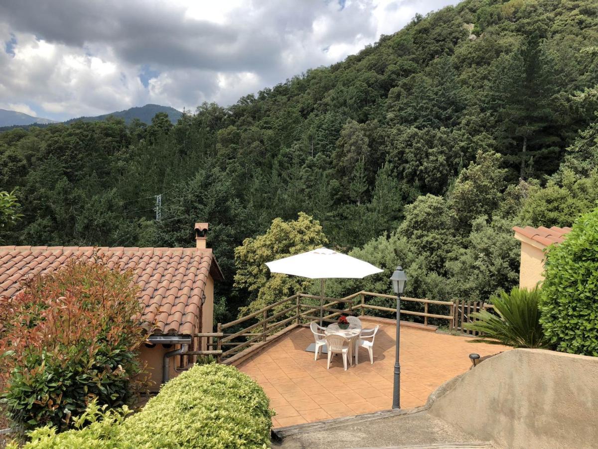 Alojamiento con jardín, barbacoa, piscina en pleno Montseny Arbúcies Exterior foto